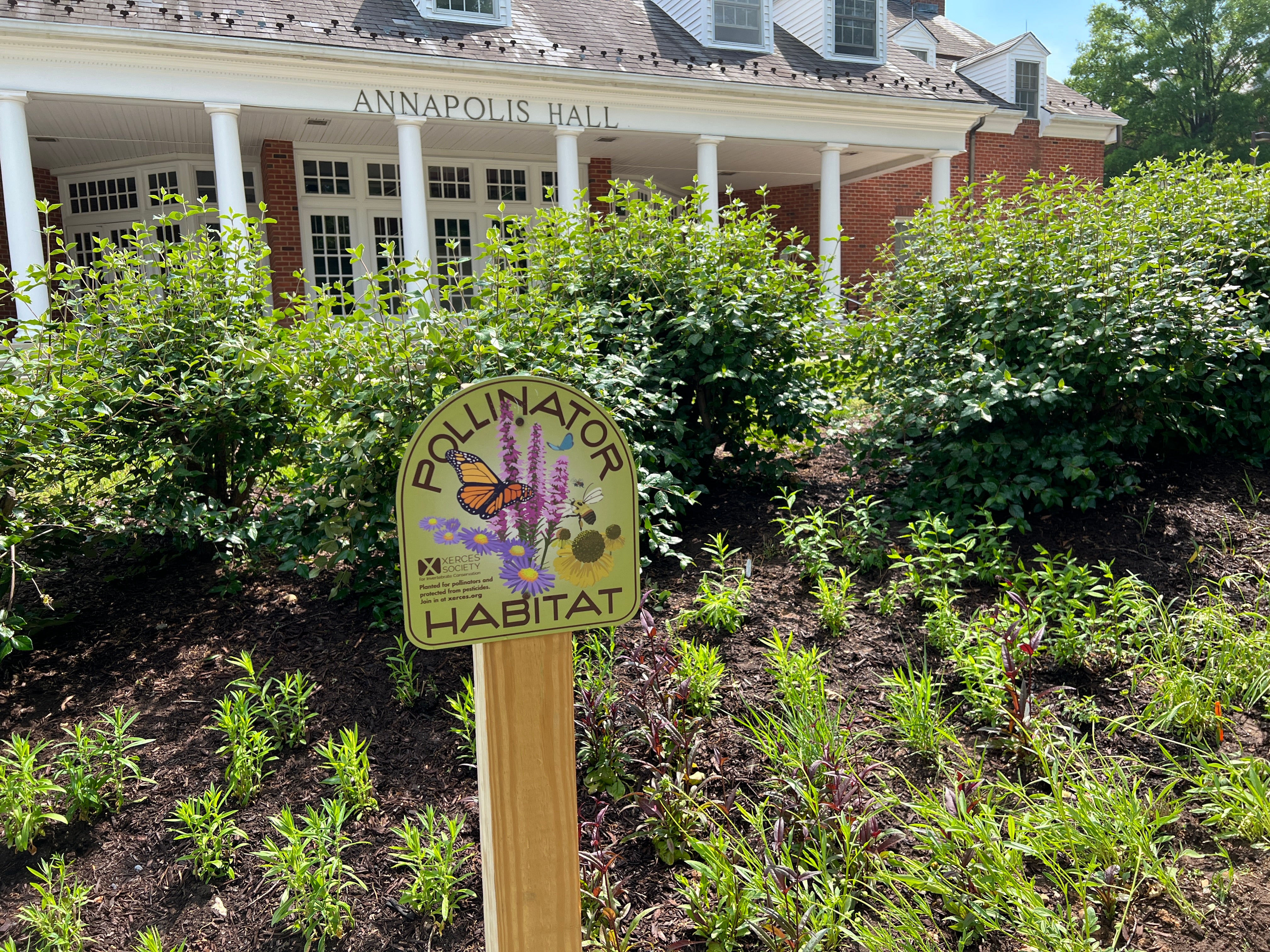 Annapolis Hall Bee Campus Sign