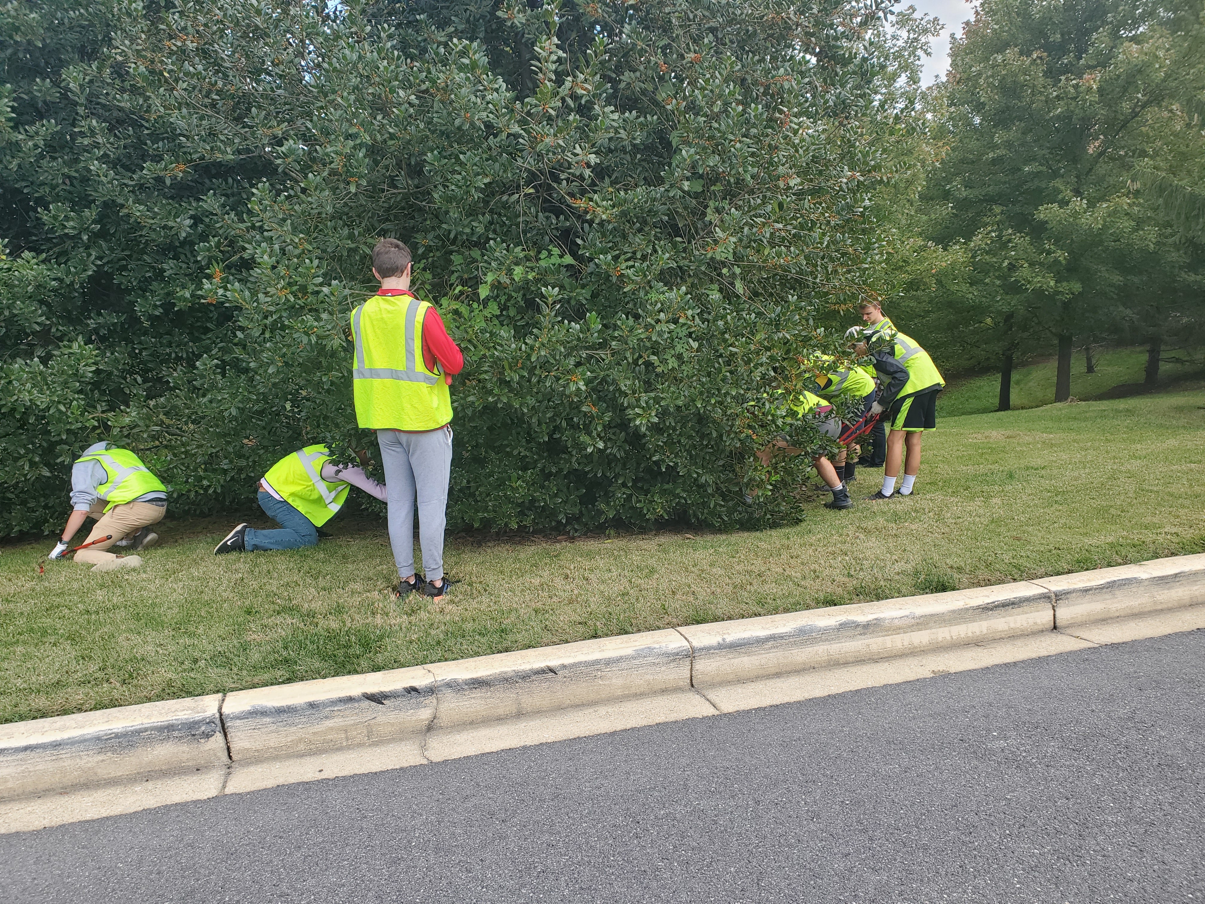 Students working near tree