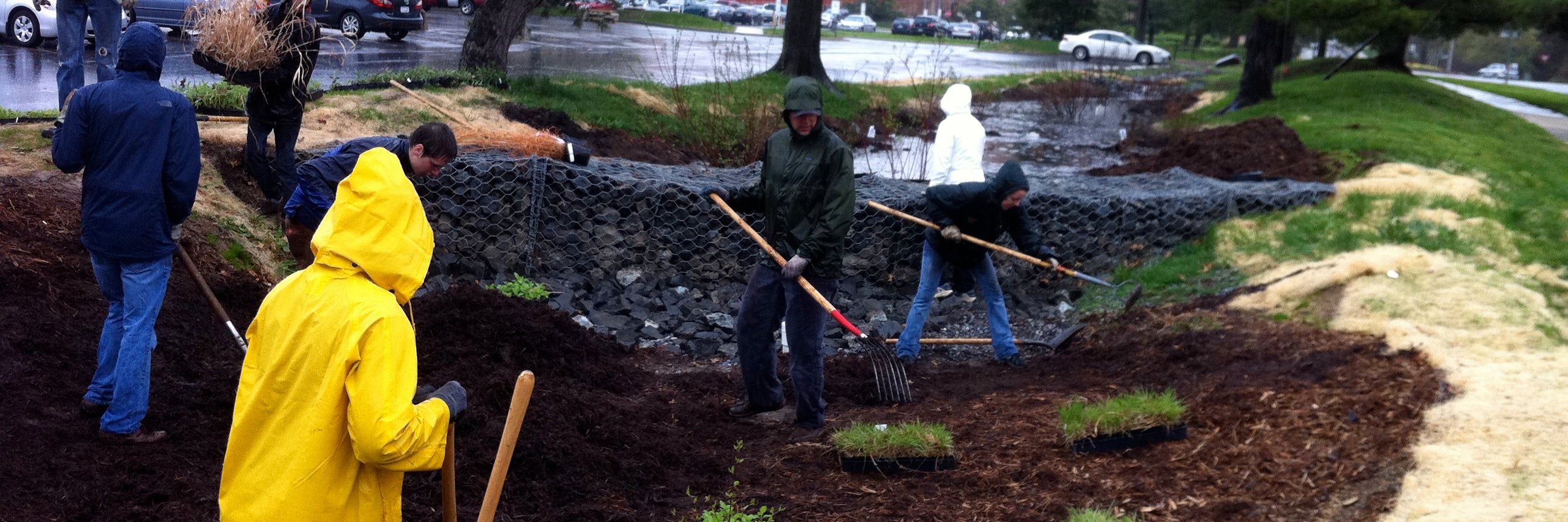Workers planting a garden