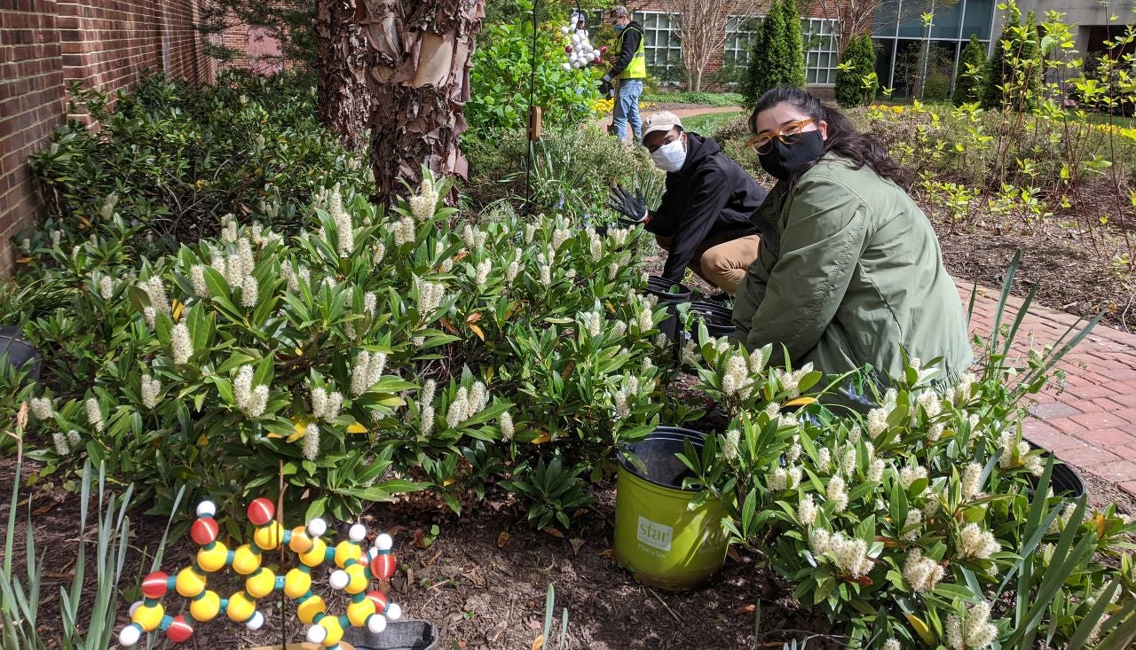 Students working in chemistry garden