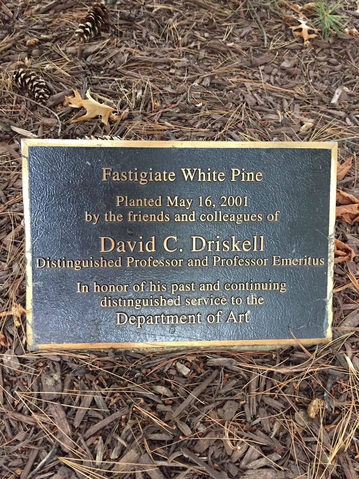 Driskell Plaque
