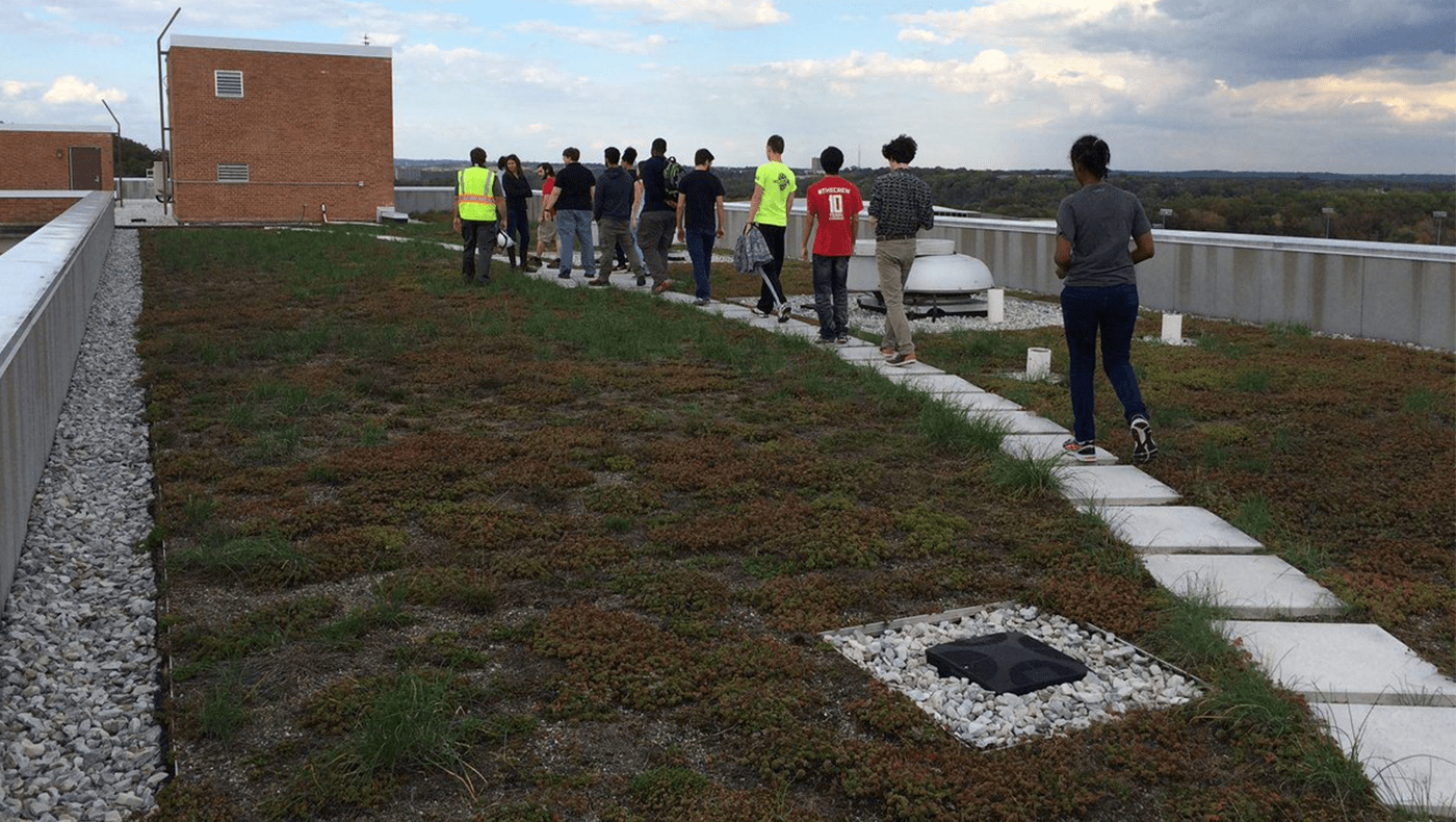 Cumberland Greenroof
