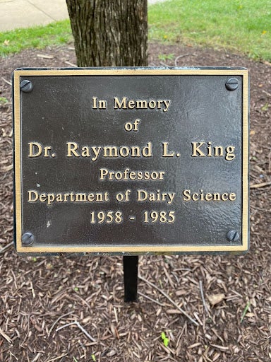 King Plaque