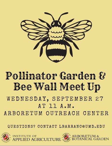 Bee Wall Meet Up Flyer