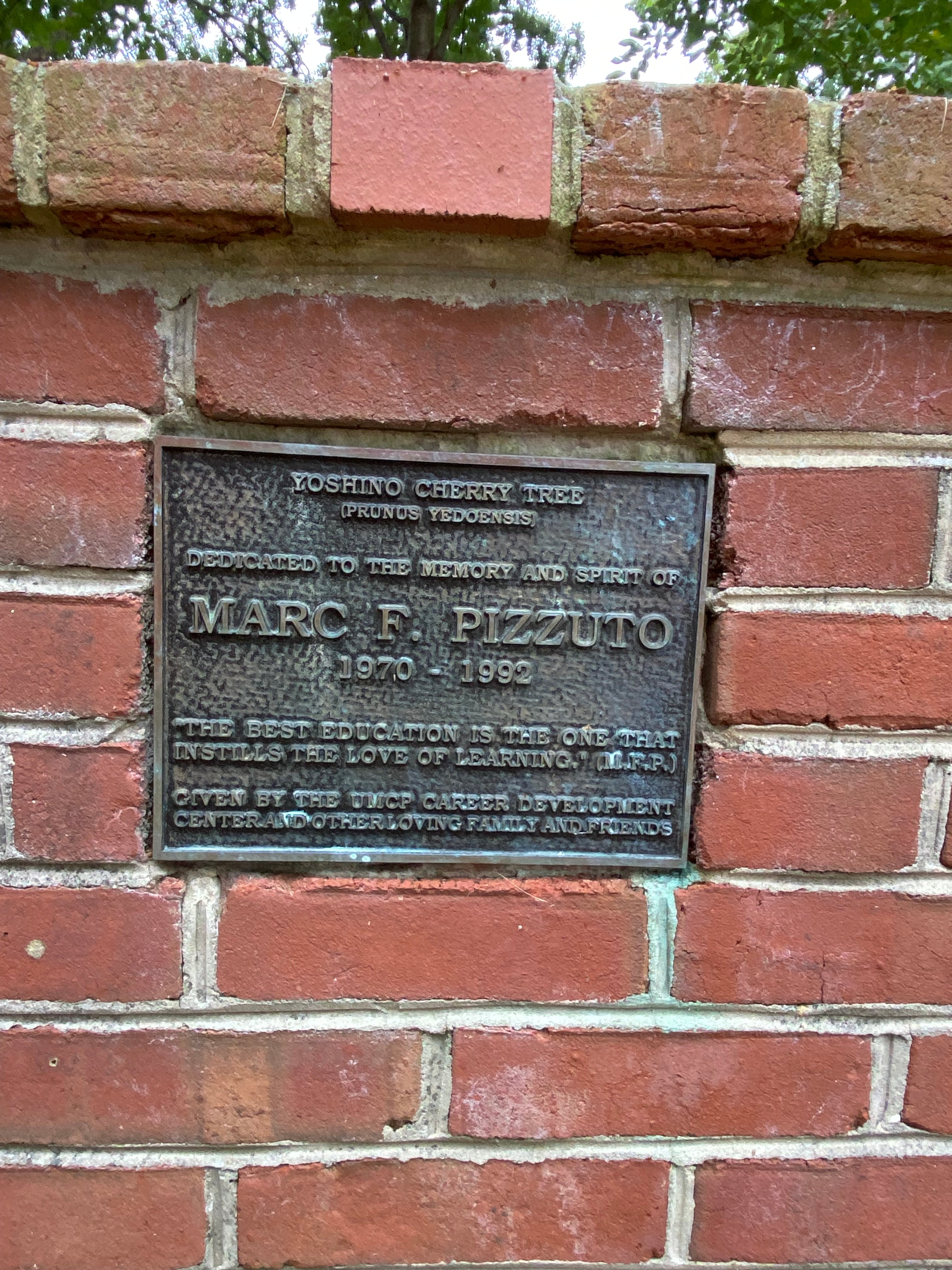 Pizzuto Plaque