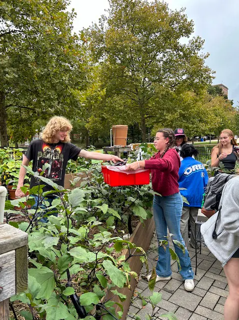 Student Harvest at the CLG