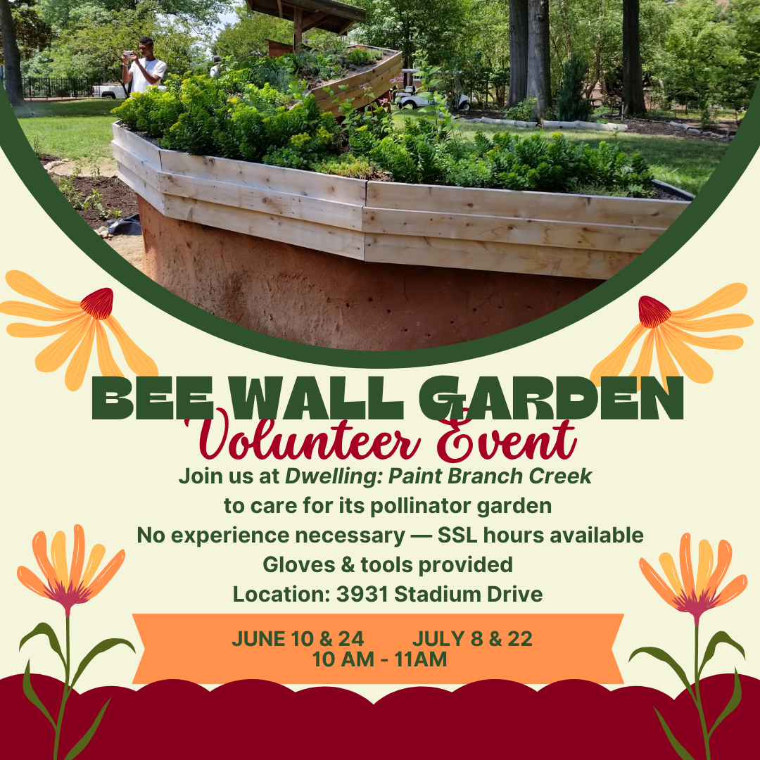 Flyer for Bee Wall Event