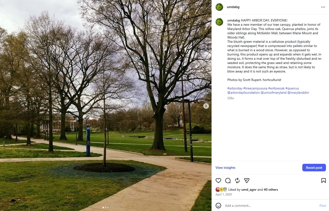 2020 Ceremonial Tree Planting