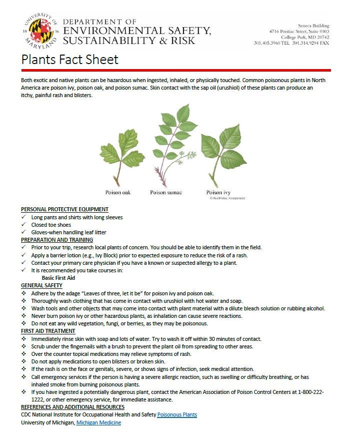Poison Ivy Info