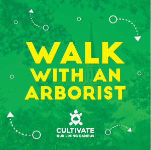 Walk with an Arborist graphic