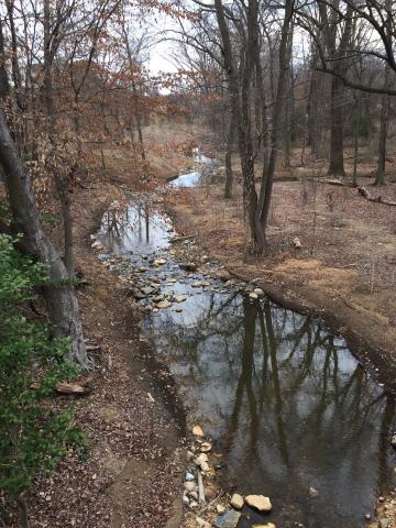 Campus Creek