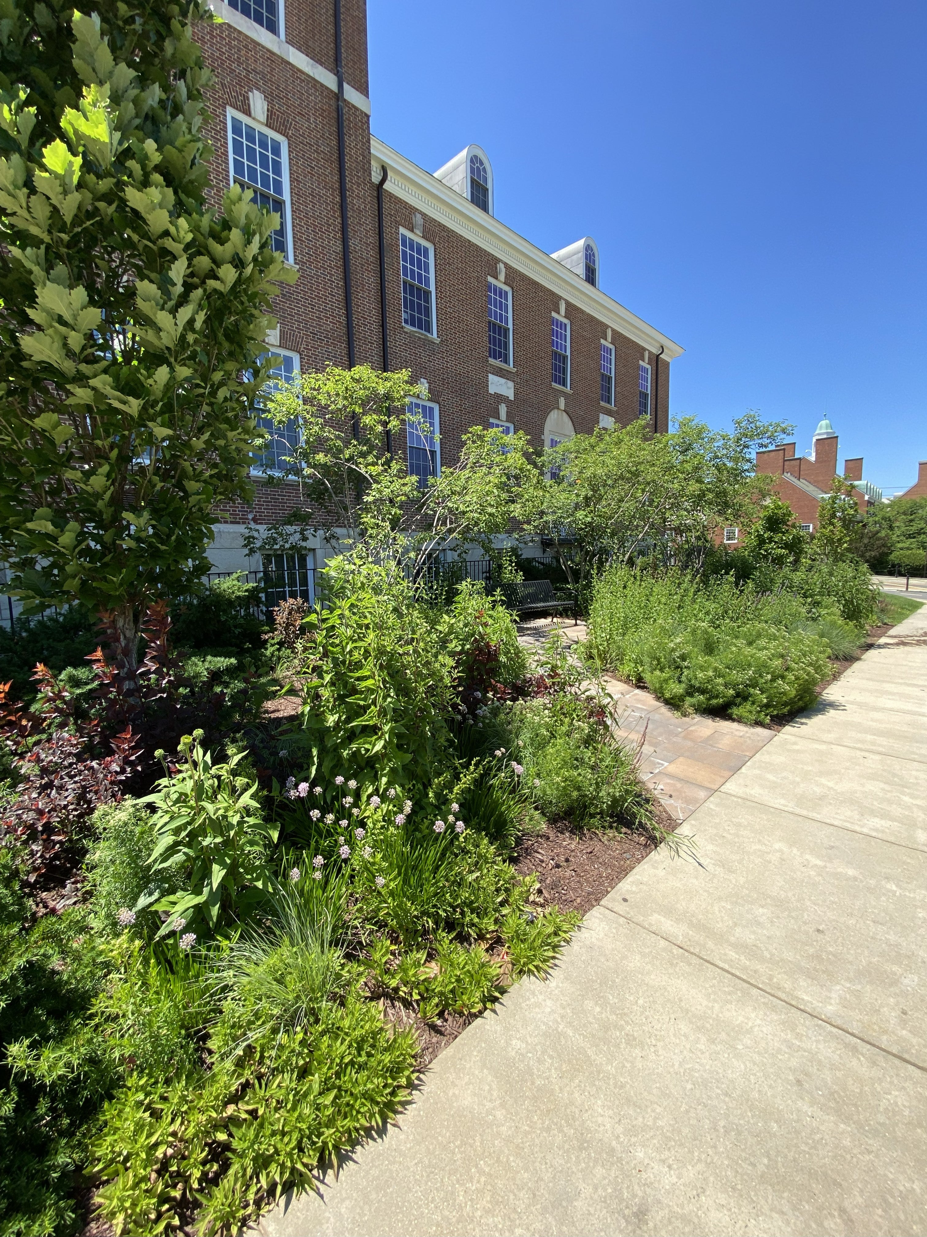 Photo of Lazarus Garden