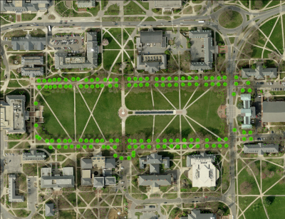 McKeldin Mall Oaks Map