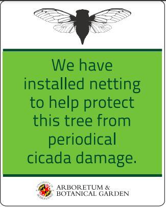 Cicada damage signage