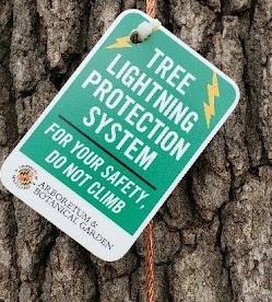 Tree Lighting Protection System Sign