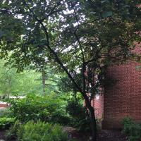 Wooded Hillock  Arboretum Outreach Center