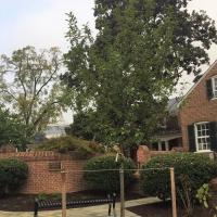 Wooded Hillock  Arboretum Outreach Center