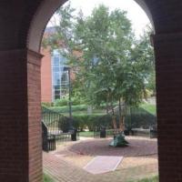 college park garden through archway
