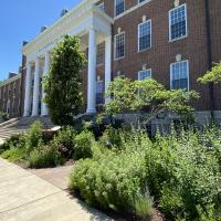 Karin Lazarus Pollinator Garden