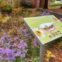 Woods Hall Rain Garden