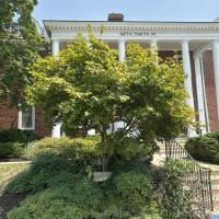 Photo of Ensel Tree