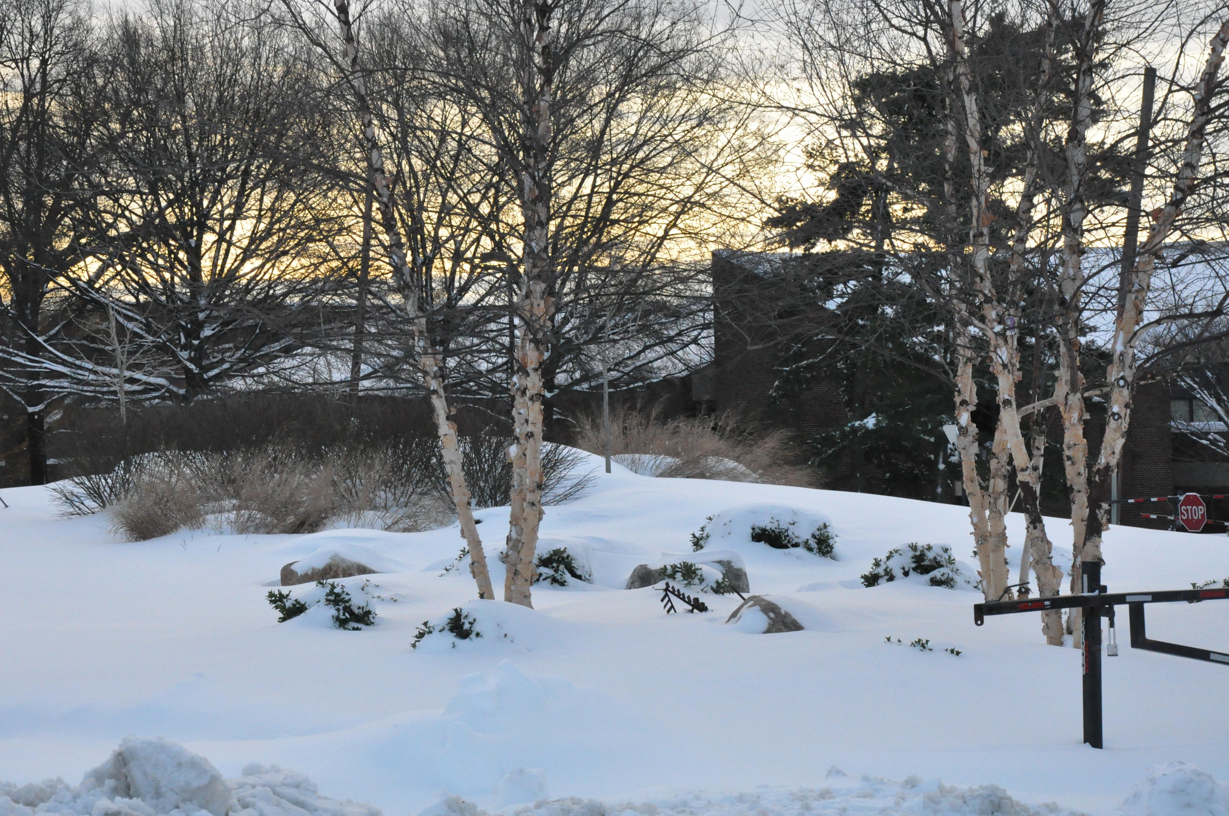 Wooded Hillock  Arboretum Outreach Center