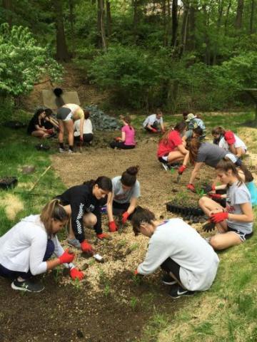 Students working in garden