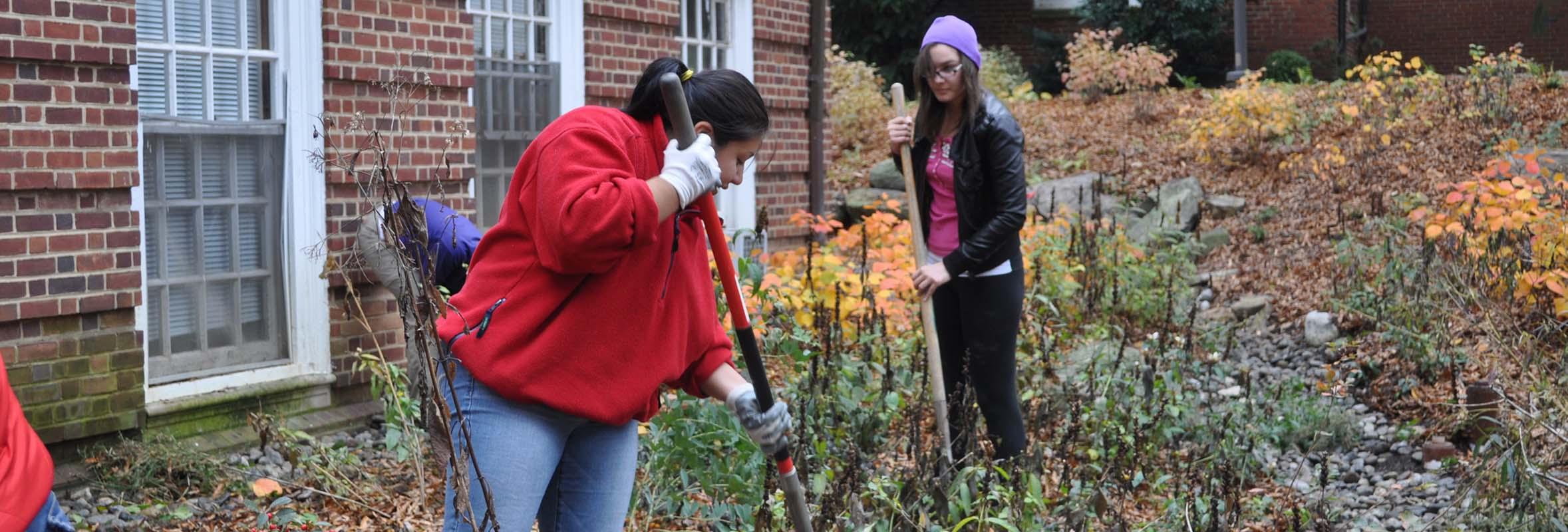 Volunteer students in garden