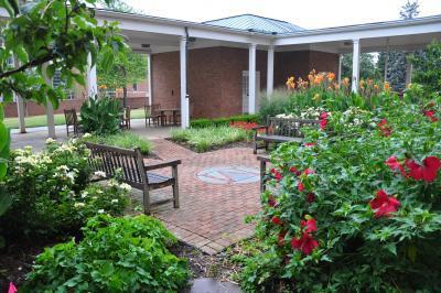 Benjamin Courtyard in bloom