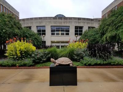 Smith School Testudo