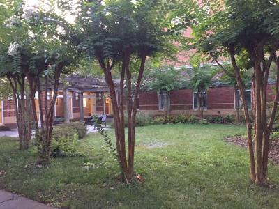 School of Theatre, Dance, and Performance Studies Courtyard