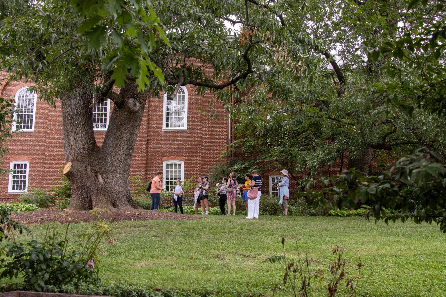 Walk participants under oak tree