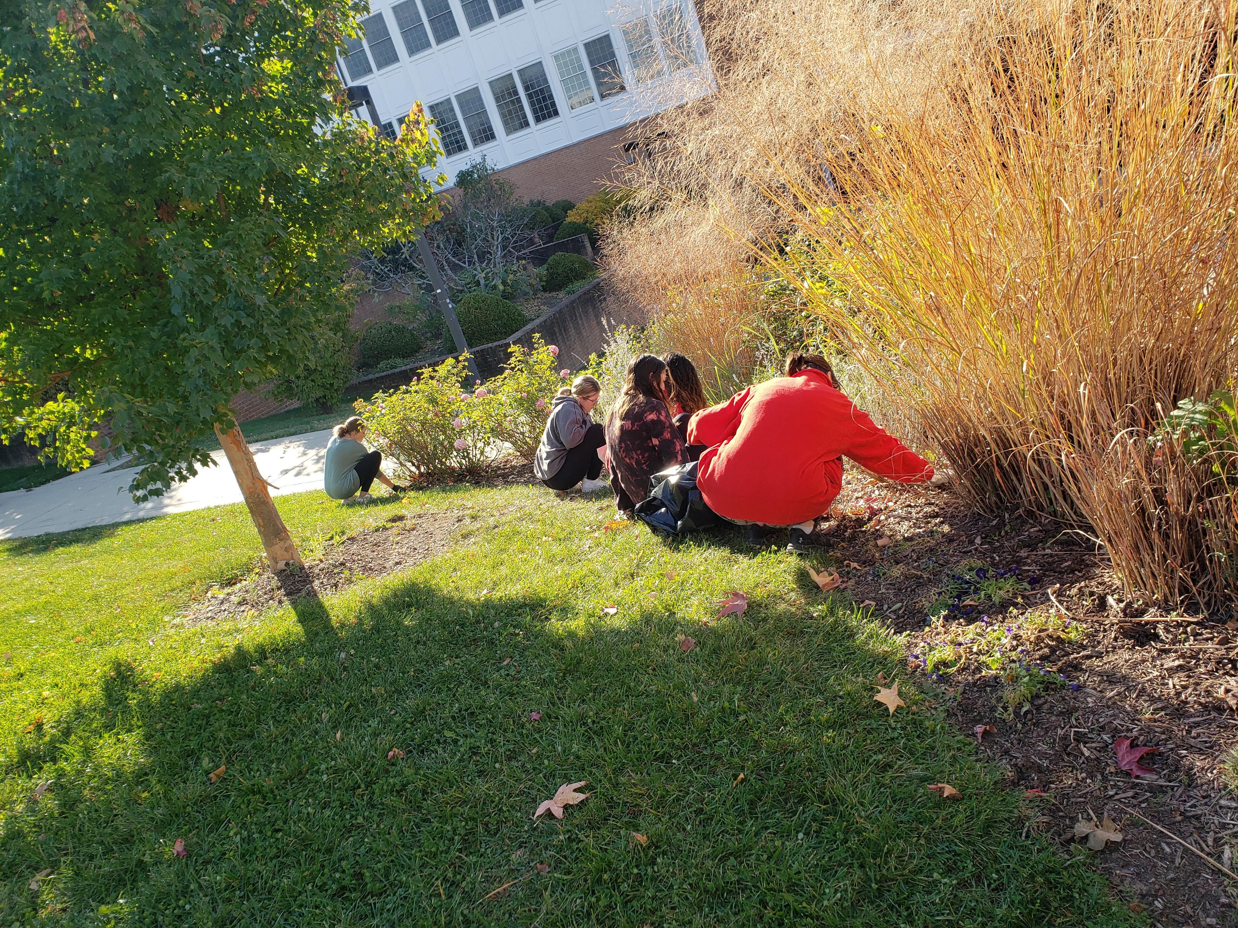 Volunteers at work