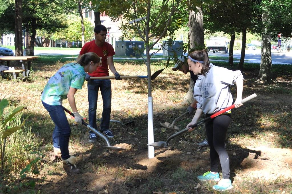 Student tree planting
