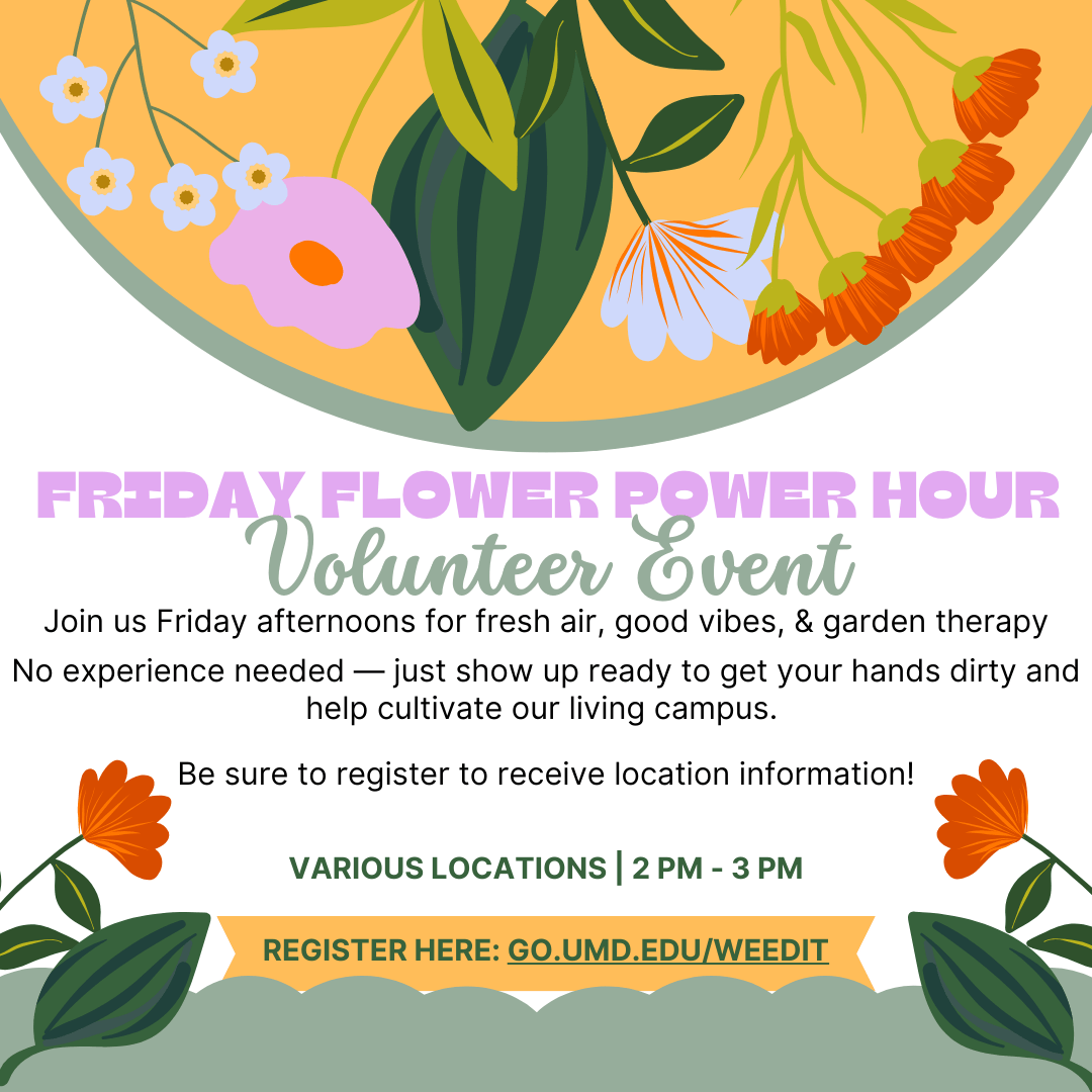 Flyer for Power Hour