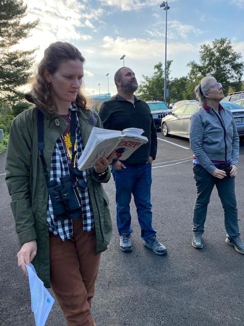 Birders looking up