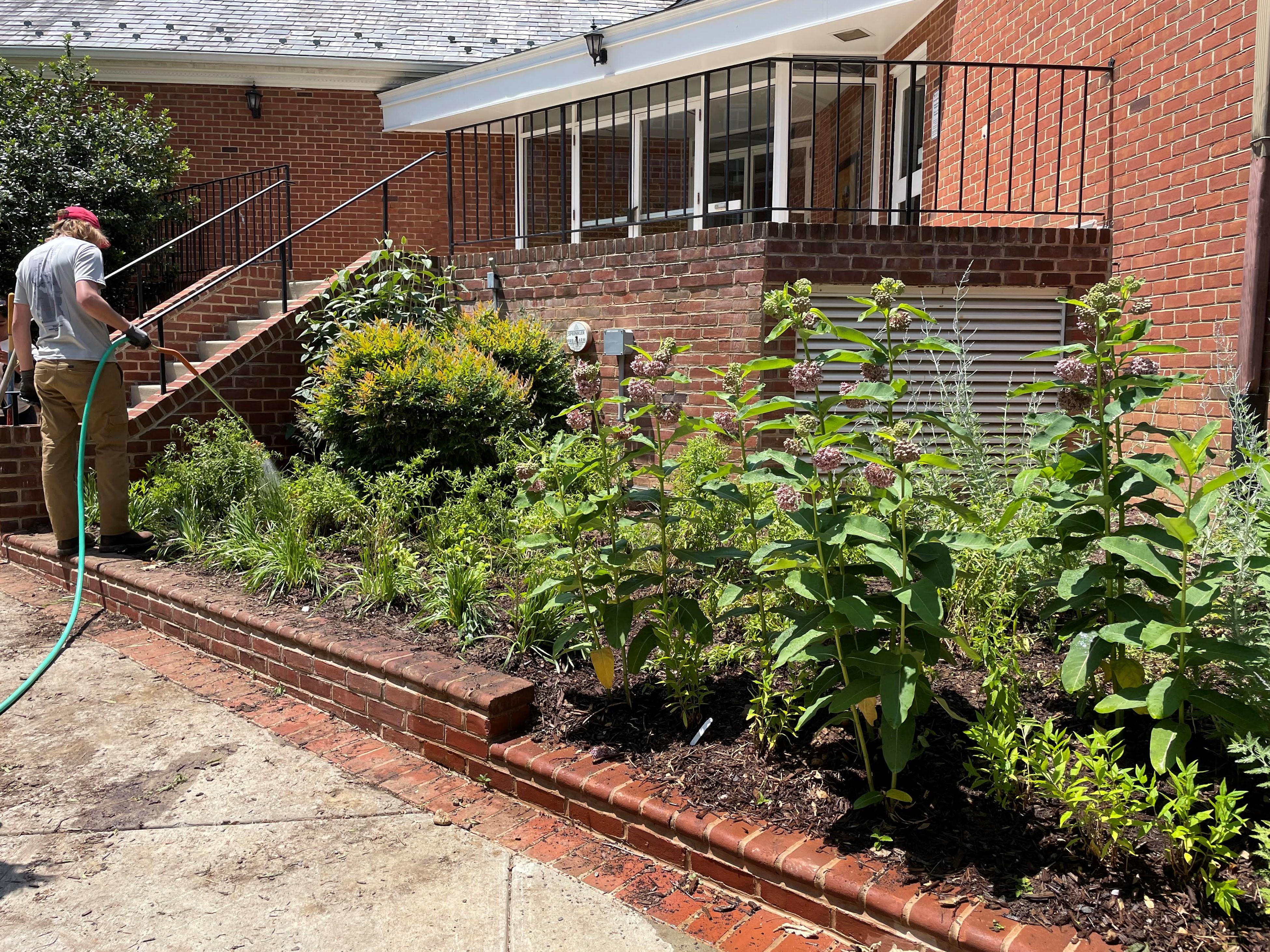 Newly installed plants at Annapolis Hall