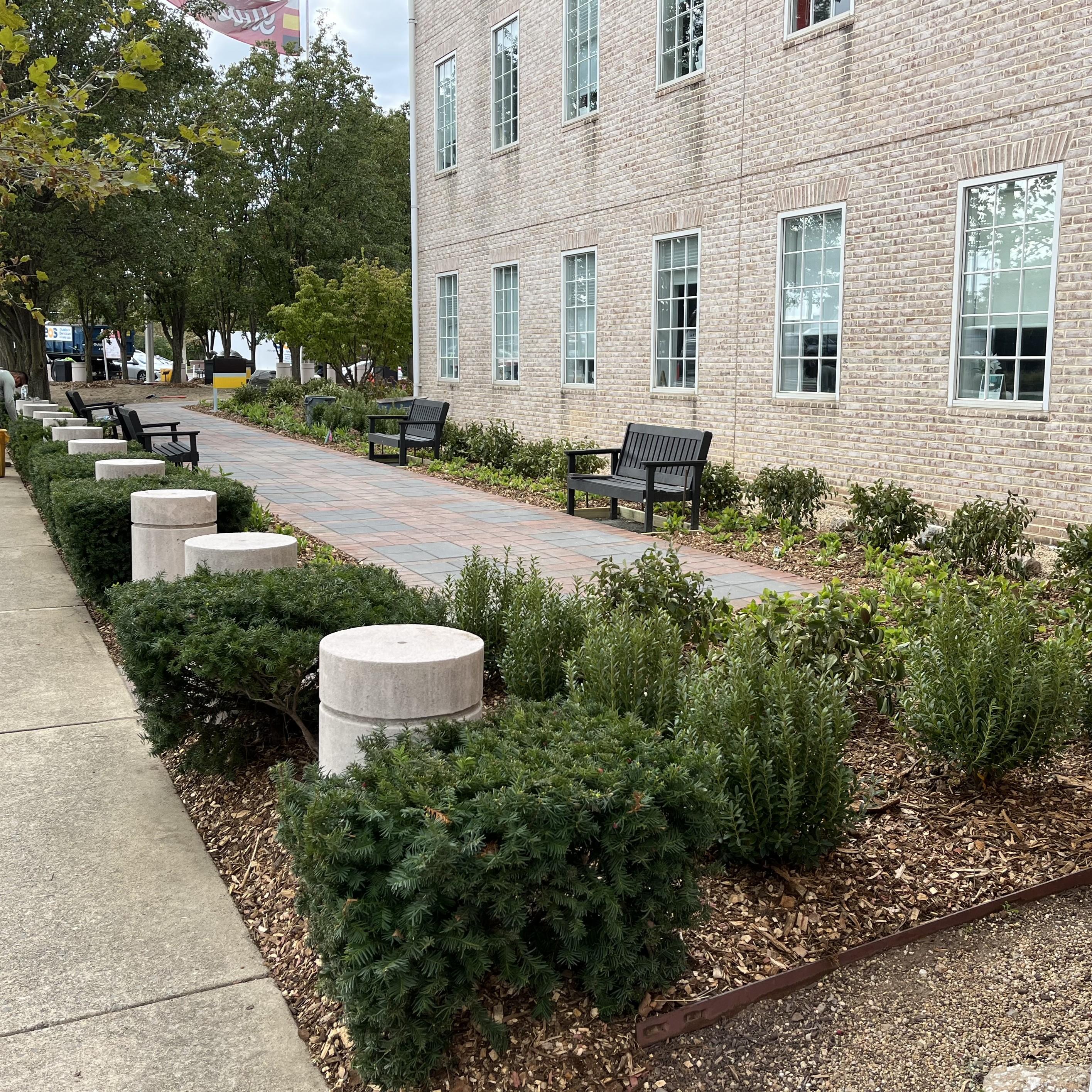 Shrubs and path of Reeve Garden