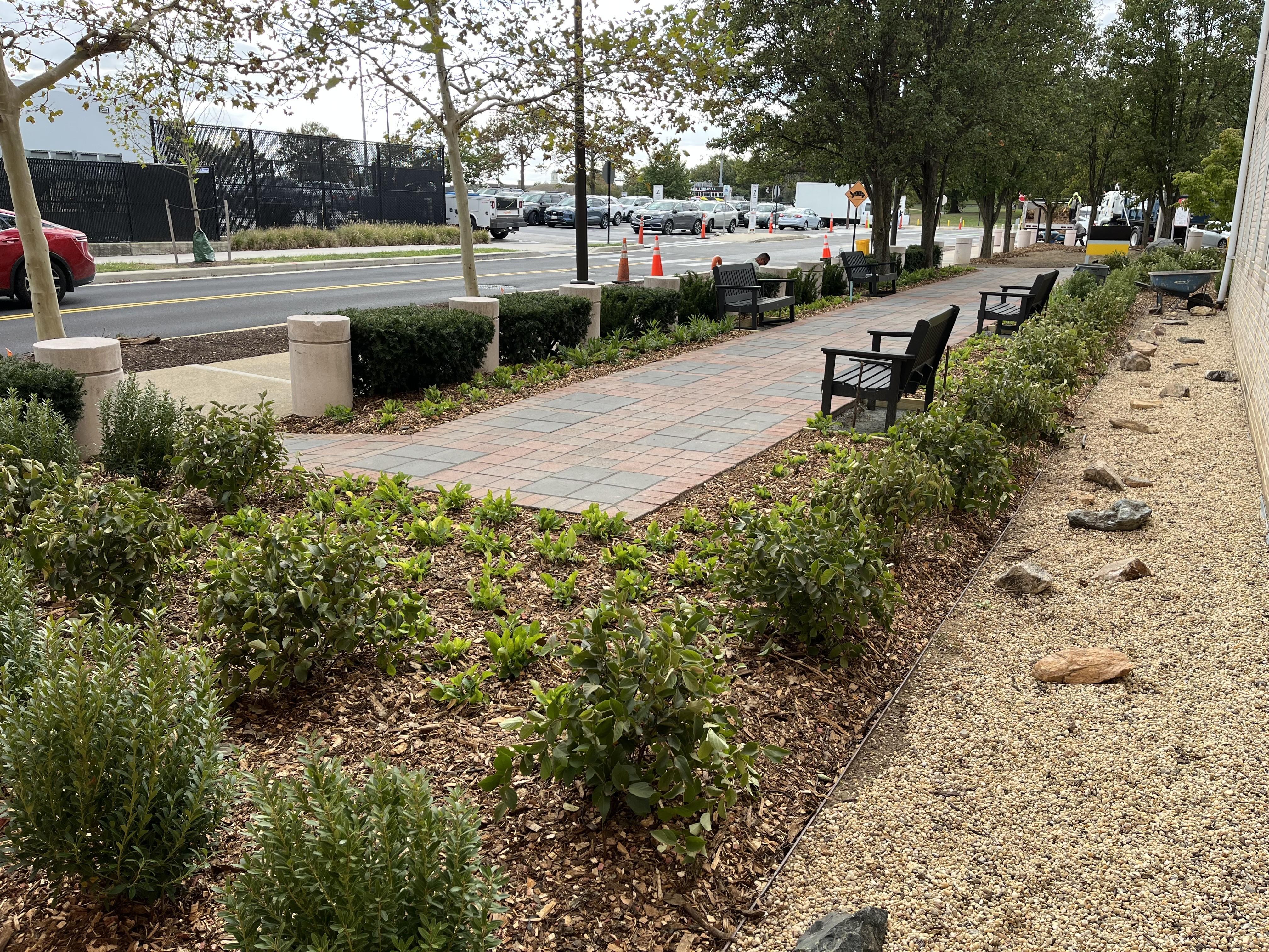 Shrubs and path of Reeve Garden