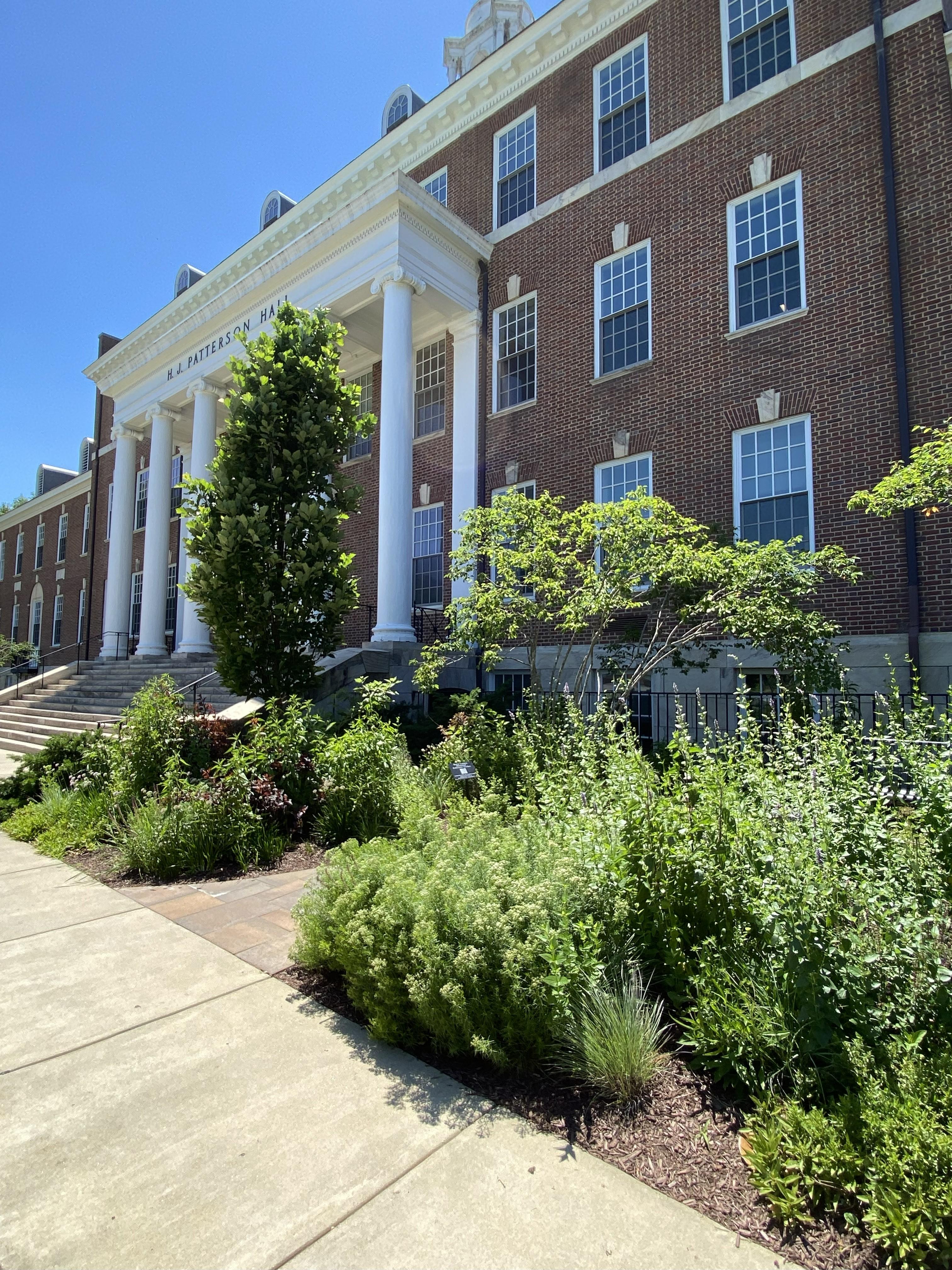 Karin Lazarus Pollinator Garden
