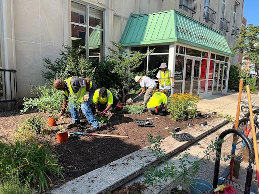 South Campus Dining Hall Pollinator Garden Installation