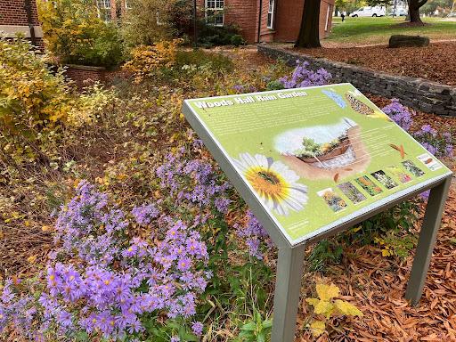 Woods Hall Rain Garden